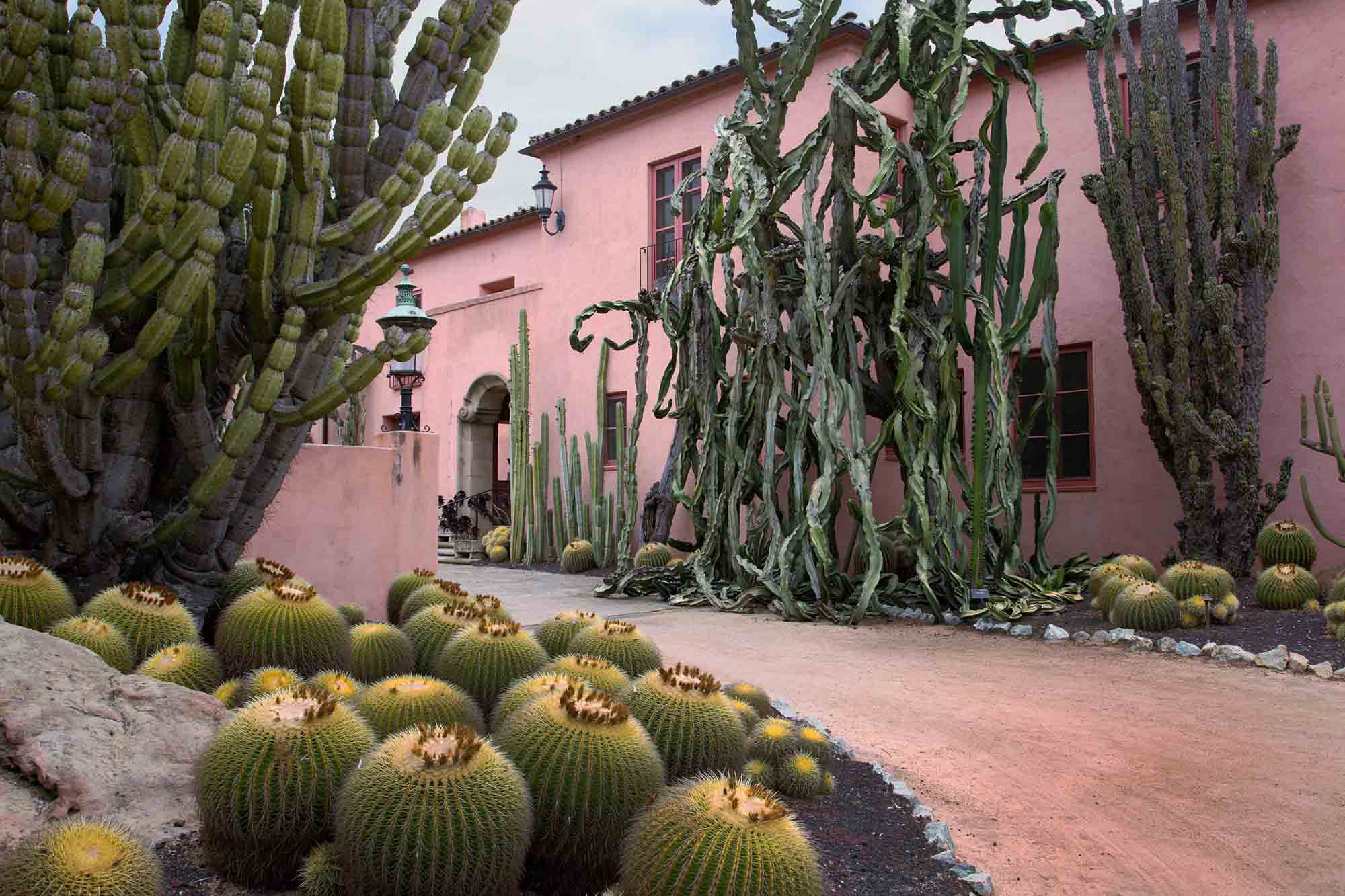 Experience the vibrant charm of Santa Barbara, where scenic beauty meets celebrity allure.