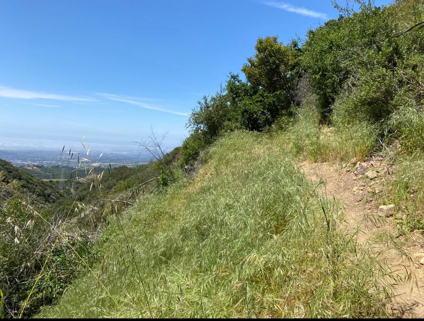 Running the Path to Inspiration: Exploring Jesusita Trail