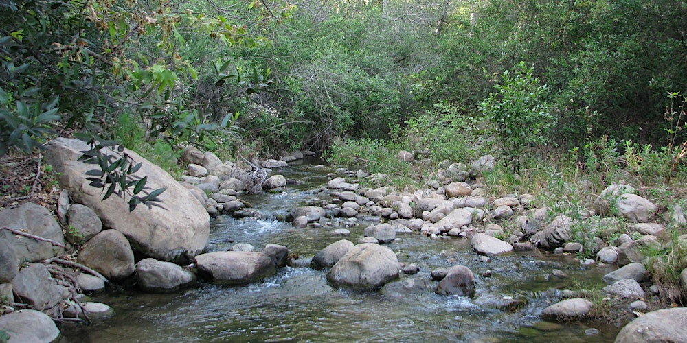 Discover the serene paths of San Antonio Creek Trail during our guided nature walk.