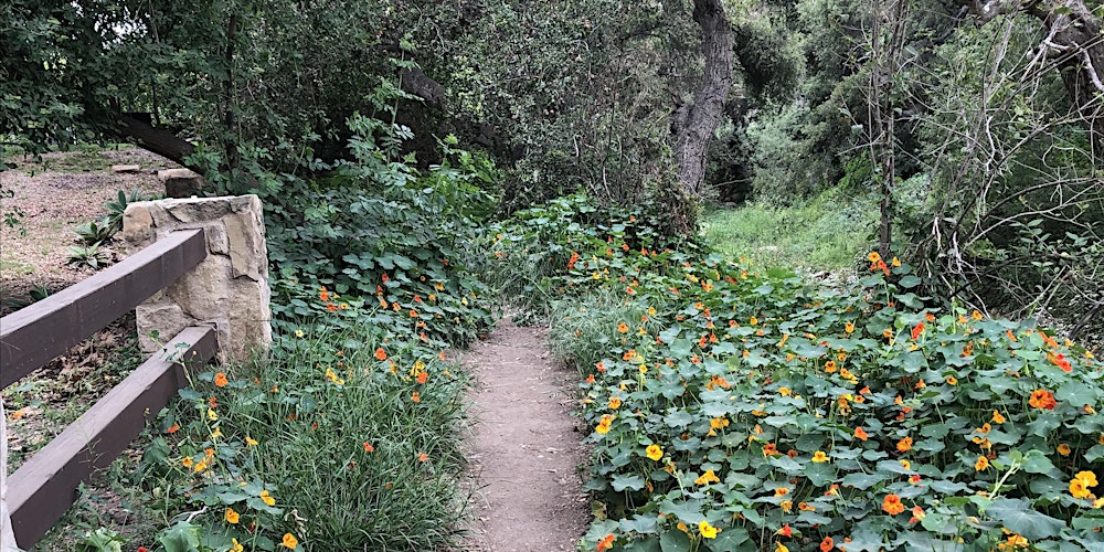 Discover hidden paths and unexpected beauty in the heart of Summerland on the Land Trust Trek.