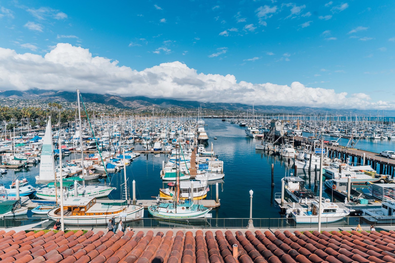 Discover the marine wonders of Santa Barbara on your next sea outing.