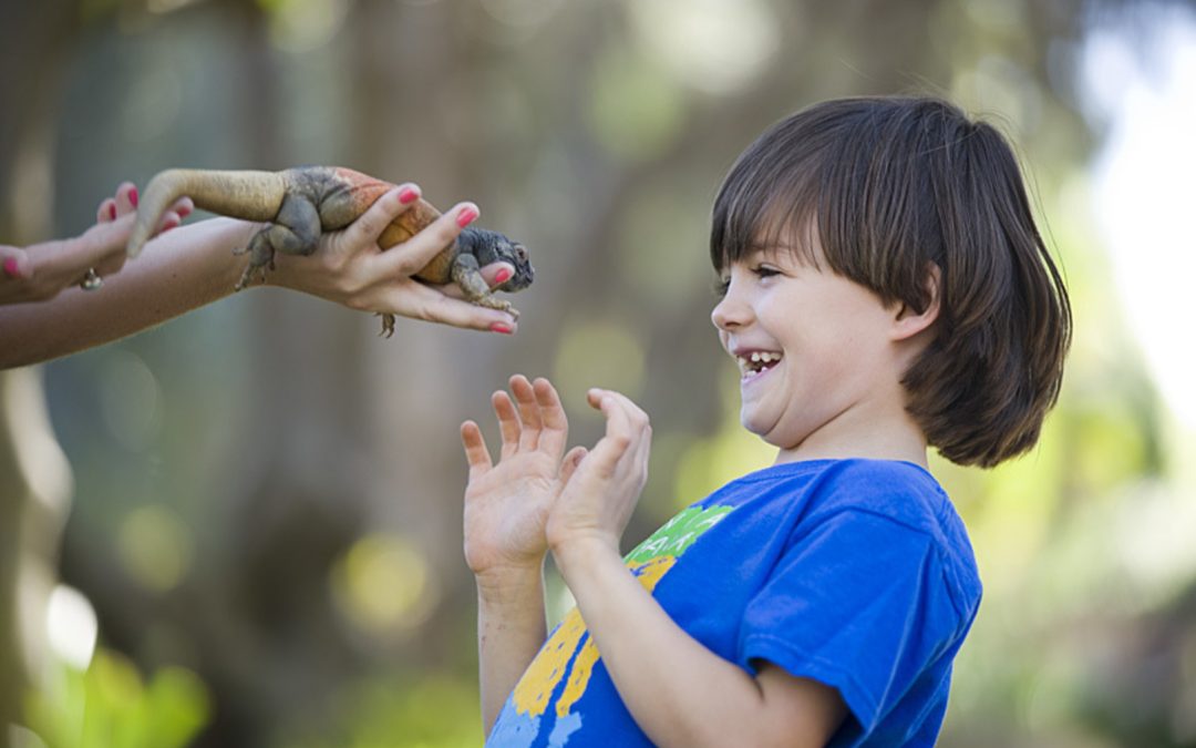 The Ultimate Visitor’s Guide to Santa Barbara Zoo: Tips, Tours, and Tales