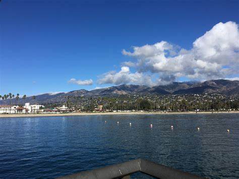 Discover the Rich Marine Life of Santa Barbara: From Seals to Whales