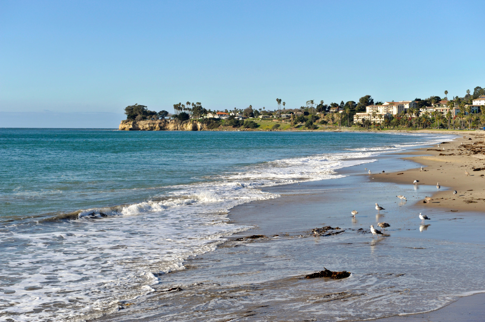 Experience the vibrant dining scene near Leadbetter Beach Park, from cozy cafes to beachfront dining options.