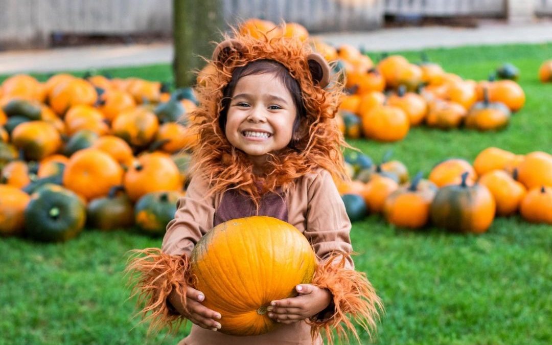 Santa Barbara Zoo Halloween: Boo at the Zoo 2024 Dates and Tickets