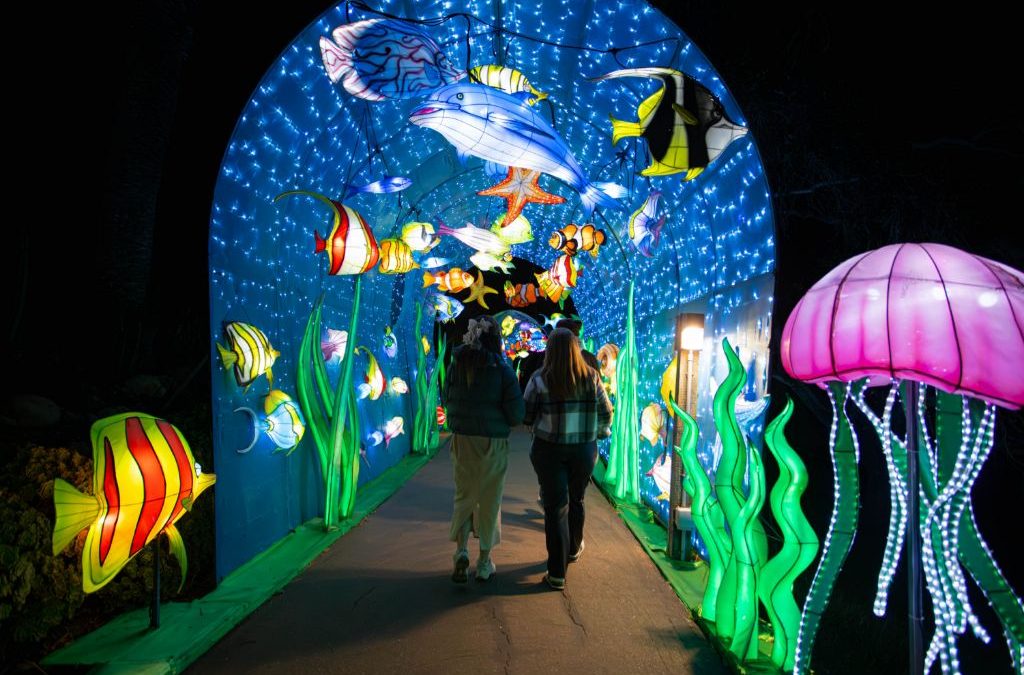 Welcome to the Santa Barbara ZooLights, where the Community Lights Up the Season! 🐧✨