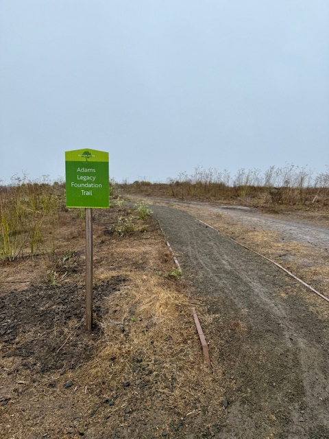 Happy Thanksgiving! Join Kathleen’s Extra Mile Streak Around Elings Park – Hope Ranch The Mesa The Westside and the Harbor – Thanksgiving to New Year’s Challenge!