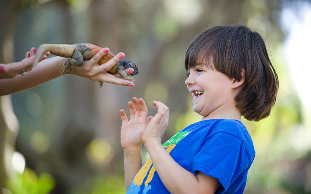 Thanksgiving With the Animals: A Wild Feast at Santa Barbara Zoo